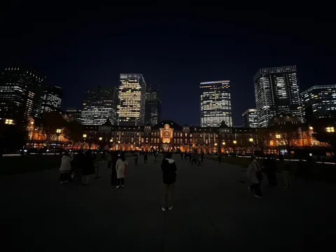 都会の夜景と歴史的建造物の共演