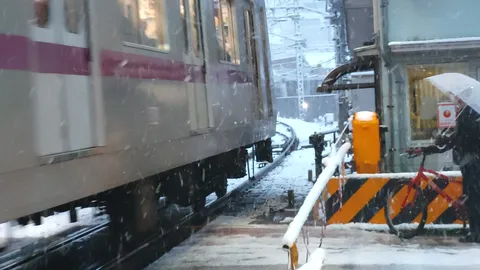 雪が舞う駅の瞬間