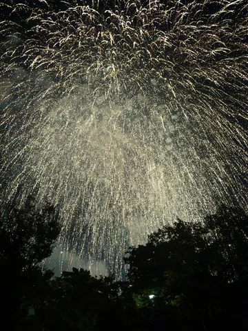 夜空に紐づく閃光