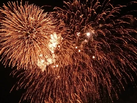 夜空を彩る光の饗宴