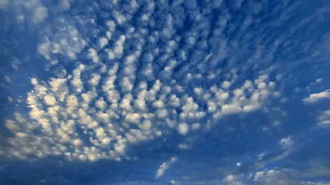 天空に広がる雲の波紋