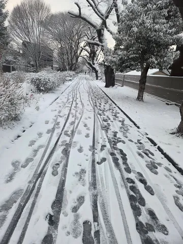 冬道の足跡模様