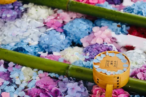 色とりどりの花風景