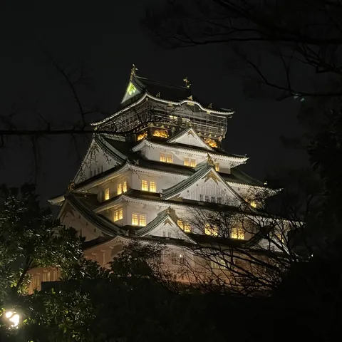 闇夜に浮かぶ古城、幻想的なライトアップ