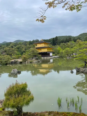 黄金の寺院、水鏡に映る静寂