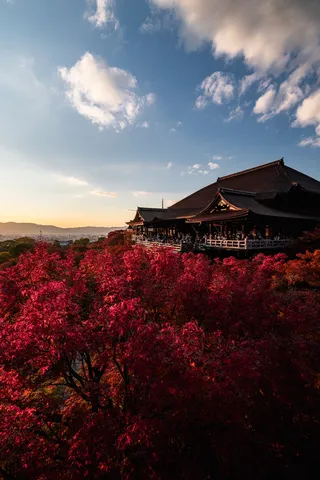 紅葉に染まる古刹の夕暮れ