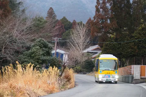 黄色いバスと秋の路