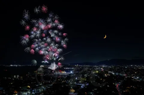 夜空に咲く光の花