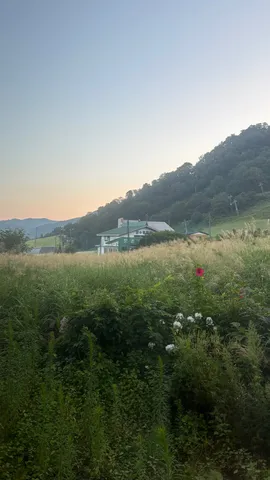 緑に抱かれる山の宿