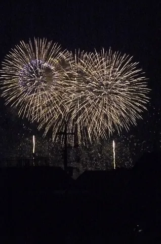 夜空に咲く金色の花火