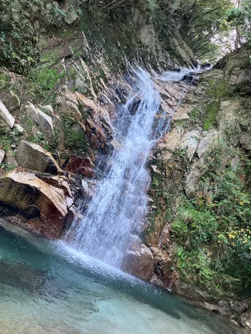 岩肌を滑る清流の瞬き