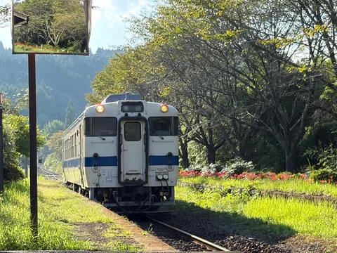 朝の田舎を走る列車