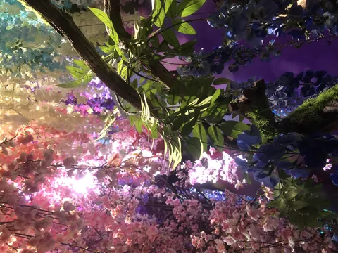 幻想的な花々の世界