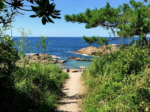 海へ続く緑の小路