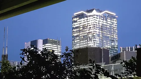 葉っぱの隙間から！秘密の夜景