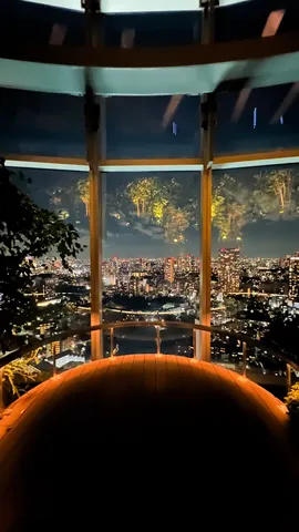 夜景を包む展望の灯り