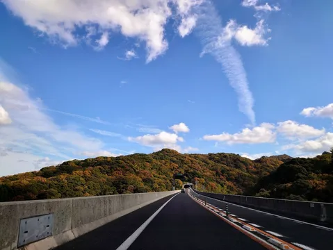 秋色に染まる山とトンネルへ続く道