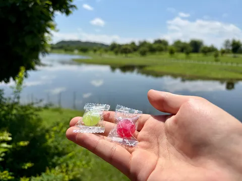 水辺のキャンディタイム