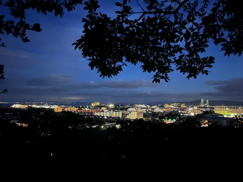 夜景に伸びる木漏れ日の街