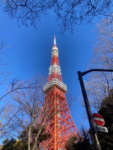 青天を衝く赤白の塔