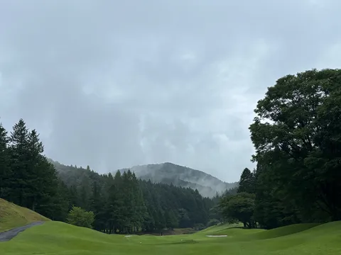 雨上がりのゴルフ場、霧に包まれた森