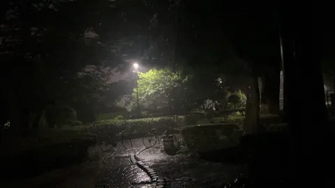 雨上がりの夜園