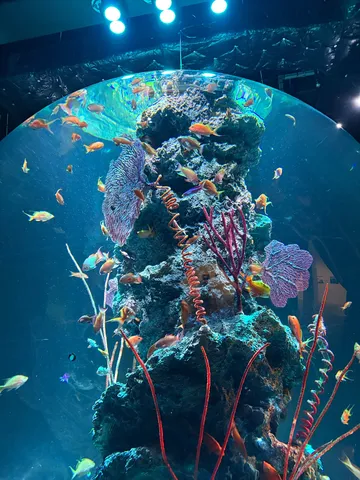 海の球体アクア舞台