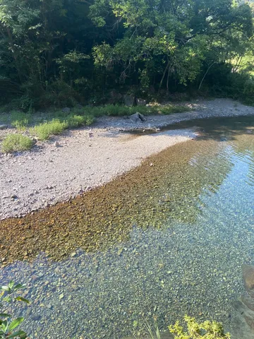 清流と石ころ観察会