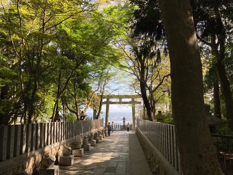 鳥居へ続く緑の参道