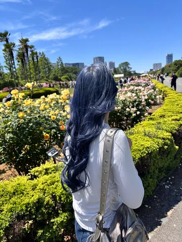 青い髪とバラの庭園
