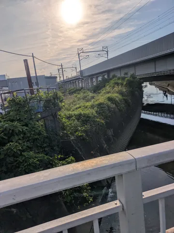 都会の静脈、草の息吹