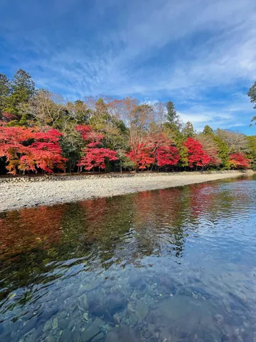 秋色の水辺、静かなる紅葉