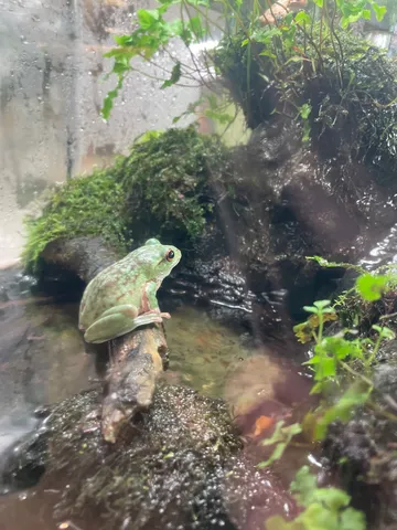 緑に溶け込む小さな命