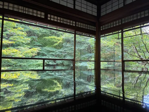 静寂の緑、水鏡に映る世界