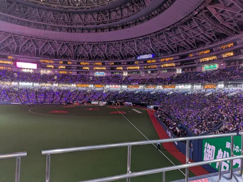紫に染まるスタジアムの夜