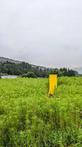 あの場所に行けたなら。