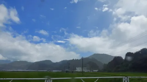 雨上がりの静かな緑