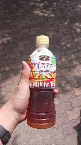 日差しと涼を感じる一本
