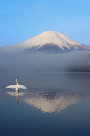 白山と湖の朝の静寂