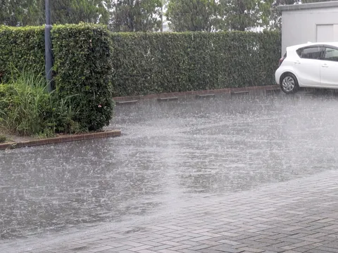 雨粒がきらめく静かな情景