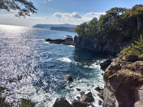 煌めく海と緑の断崖