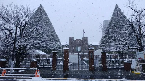 雪舞う学び舎の門