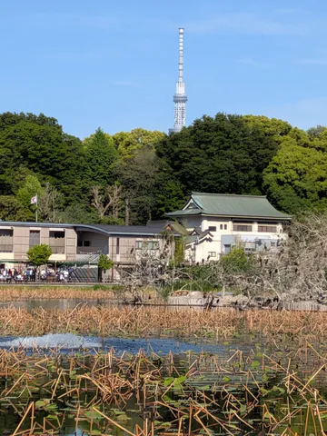 緑と水辺、空にそびえるタワー