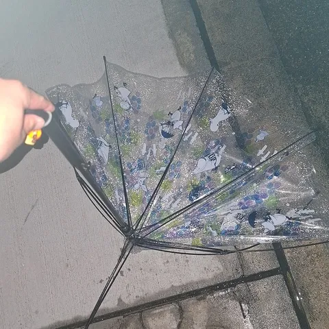 雨上がりの透明な傘