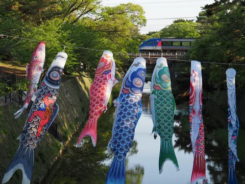 鮮やか鯉のぼり、橋を渡る列車
