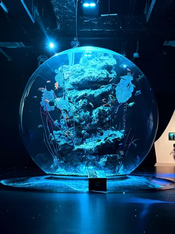 青い光に包まれた、神秘的な海の旅
