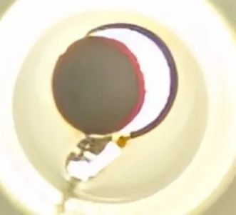 光の輪に潜む静かな瞬間
