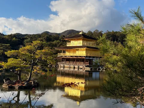 水面に映る金色の夢