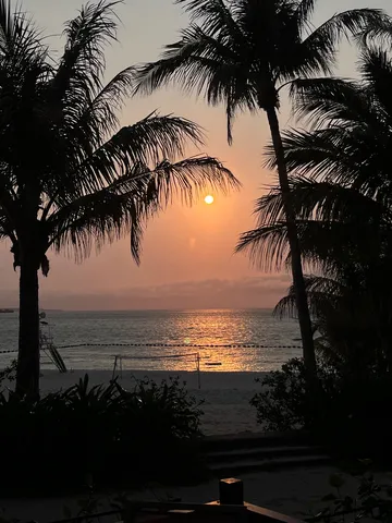 ヤシ越しの夕映え