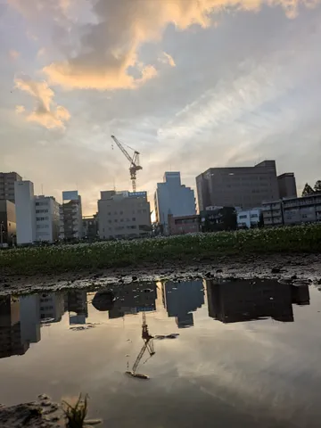 水面に映る都会の空